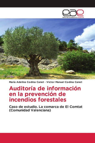 Auditoría de información en la prevención de incendios forestales