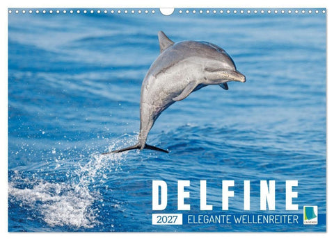 Delfine: Elegante Wellenreiter (Wandkalender 2027 DIN A3 quer), CALVENDO Monatskalender