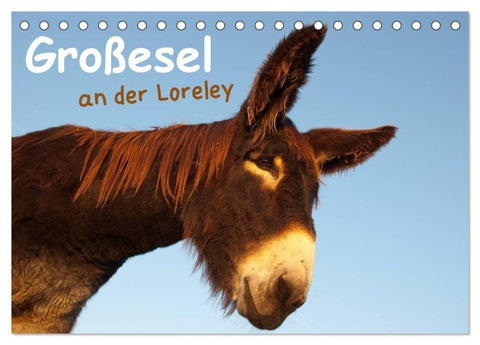 Großesel an der Loreley (Tischkalender 2027 DIN A5 quer), CALVENDO Monatskalender