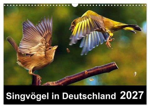 Singvögel in Deutschland (Wandkalender 2027 DIN A3 quer), CALVENDO Monatskalender