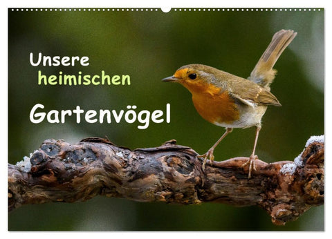 Unsere heimischen Gartenvögel (Wandkalender 2026 DIN A2 quer), CALVENDO Monatskalender