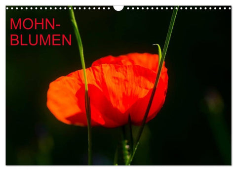 Mohnblumen (Wandkalender 2027 DIN A3 quer), CALVENDO Monatskalender