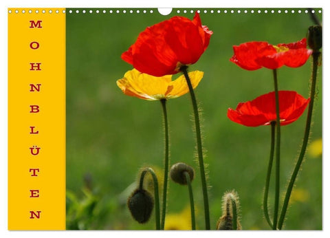MOHNBLÜTEN (Wandkalender 2027 DIN A3 quer), CALVENDO Monatskalender