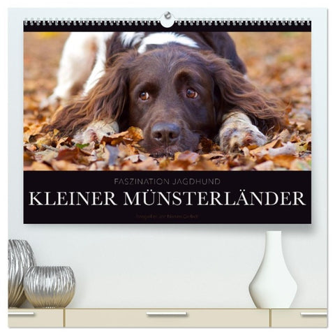 Faszination Jagdhund - Kleiner Münsterländer (hochwertiger Premium Wandkalender 2027 DIN A2 quer), Kunstdruck in Hochglanz