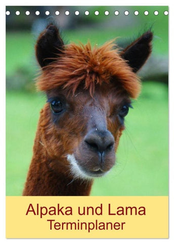 Alpaka und Lama Terminplaner (Tischkalender 2027 DIN A5 hoch), CALVENDO Monatskalender