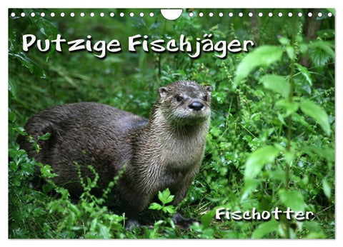 Putzige Fischjäger (Wandkalender 2027 DIN A4 quer), CALVENDO Monatskalender