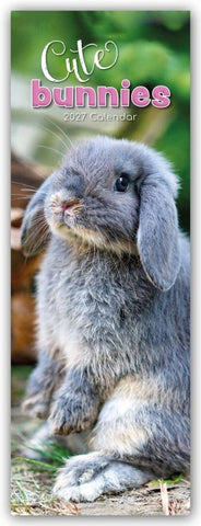 Cute Bunnies – Süße Häschen – Slimline-Kalender 2027