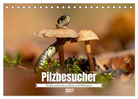 Pilzbesucher (Tischkalender 2027 DIN A5 quer), CALVENDO Monatskalender
