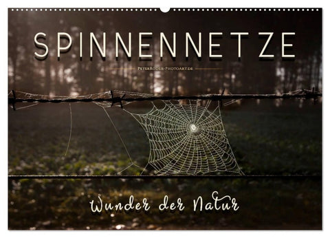 Spinnennetze - Wunder der Natur (Wandkalender 2027 DIN A2 quer), CALVENDO Monatskalender