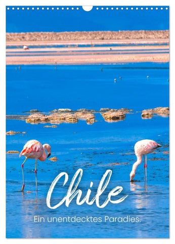 Chile - Ein unentdecktes Paradies. (Wandkalender 2027 DIN A3 hoch), CALVENDO Monatskalender