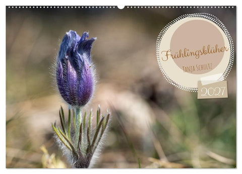Frühlingsblüher - Farbenpracht nach dem Winter (Wandkalender 2027 DIN A2 quer), CALVENDO Monatskalender