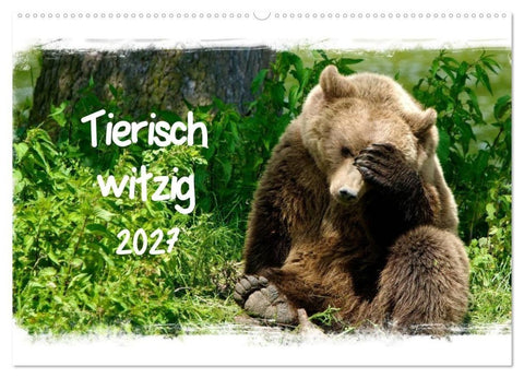 Tierisch witzig (Wandkalender 2027 DIN A2 quer), CALVENDO Monatskalender