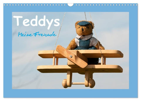Teddys Meine Freunde (Wandkalender 2026 DIN A3 quer), CALVENDO Monatskalender