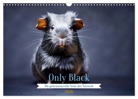Only Black (Wandkalender 2026 DIN A3 quer), CALVENDO Monatskalender