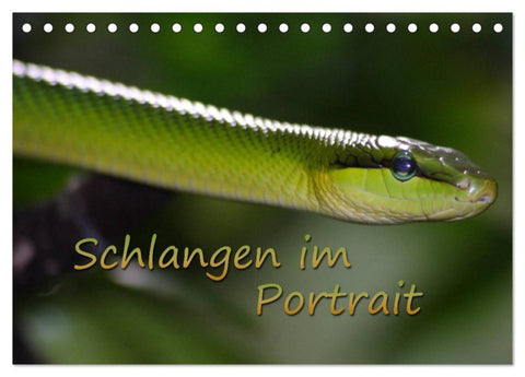 Schlangen im Portrait (Tischkalender 2026 DIN A5 quer), CALVENDO Monatskalender