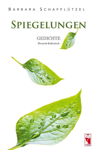 Spiegelungen