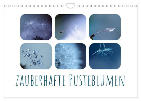 Zauberhafte Pusteblumen (Wandkalender 2027 DIN A4 quer), CALVENDO Monatskalender