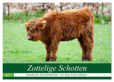 Zottelige Schotten (Wandkalender 2027 DIN A3 quer), CALVENDO Monatskalender