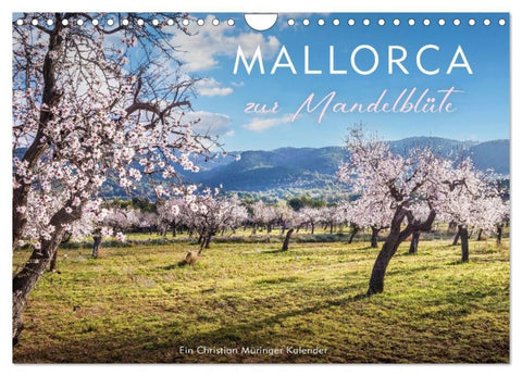 Mallorca zur Mandelblüte (Wandkalender 2027 DIN A4 quer), CALVENDO Monatskalender