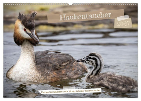 Einzigartige Einblicke in die Kinderstube der Haubentaucher (Wandkalender 2027 DIN A2 quer), CALVENDO Monatskalender