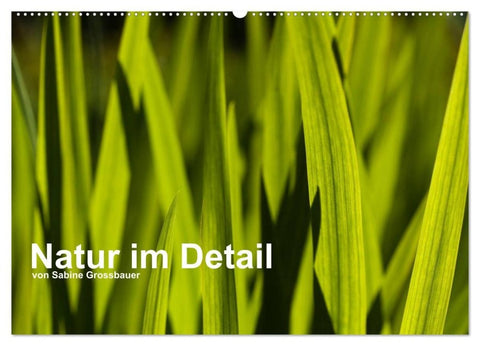 Natur im Detail (Wandkalender 2027 DIN A2 quer), CALVENDO Monatskalender