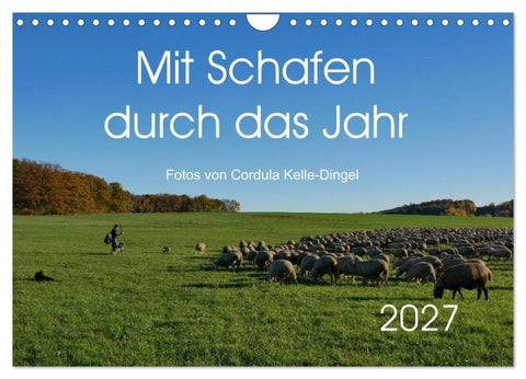 Mit Schafen durch das Jahr (Wandkalender 2027 DIN A4 quer), CALVENDO Monatskalender