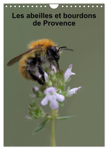 Les abeilles et bourdons de Provence (Calendrier mural 2027 DIN A4 horizontal), CALVENDO calendrier mensuel