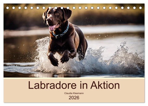 Labradore in Aktion (Tischkalender 2026 DIN A5 quer), CALVENDO Monatskalender