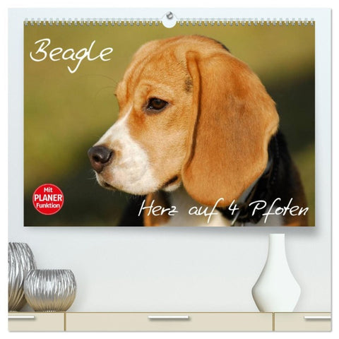 Beagle - Herz auf 4 Pfoten (hochwertiger Premium Wandkalender 2026 DIN A2 quer), Kunstdruck in Hochglanz