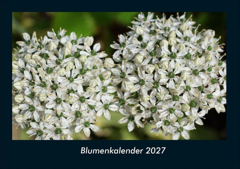 Blumenkalender 2027 Fotokalender DIN A4
