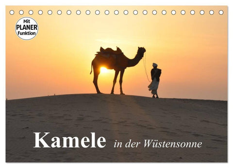 Kamele in der Wüstensonne (Tischkalender 2026 DIN A5 quer), CALVENDO Monatskalender
