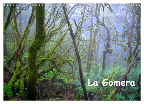 La Gomera (Wandkalender 2026 DIN A3 quer), CALVENDO Monatskalender