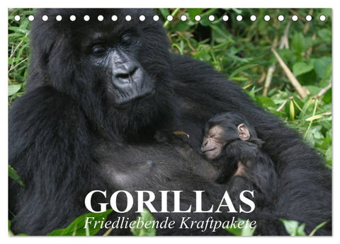 Gorillas. Friedliebende Kraftpakete (Tischkalender 2026 DIN A5 quer), CALVENDO Monatskalender