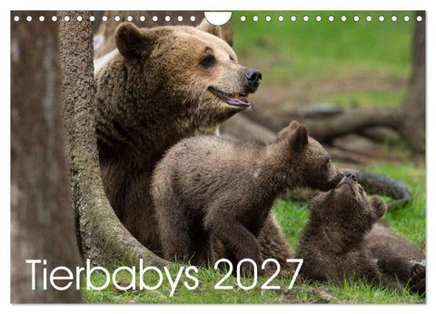 Tierbabys 2027 (Wandkalender 2027 DIN A4 quer), CALVENDO Monatskalender