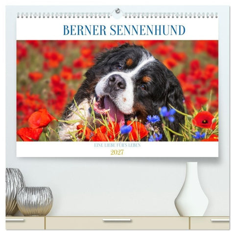 Berner Sennenhund - Eine Liebe für´s Leben (hochwertiger Premium Wandkalender 2027 DIN A2 quer), Kunstdruck in Hochglanz
