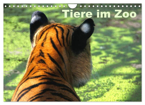Tiere im Zoo (Wandkalender 2026 DIN A4 quer), CALVENDO Monatskalender