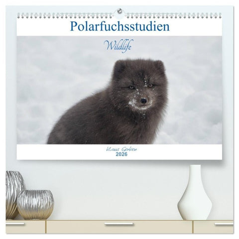 Polarfuchsstudien Wildlife (hochwertiger Premium Wandkalender 2026 DIN A2 quer), Kunstdruck in Hochglanz