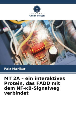 MT 2A - ein interaktives Protein, das FADD mit dem NF-¿B-Signalweg verbindet
