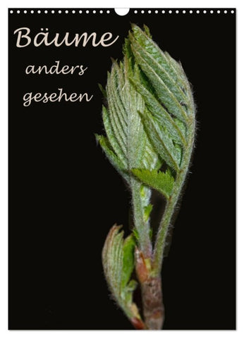 Bäume anders gesehen (Wandkalender 2027 DIN A3 hoch), CALVENDO Monatskalender