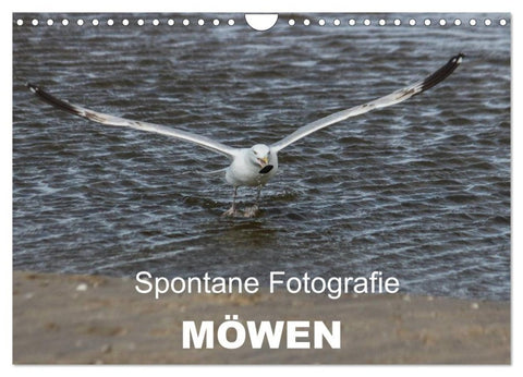 Spontane Fotografie - Möwen (Wandkalender 2027 DIN A4 quer), CALVENDO Monatskalender