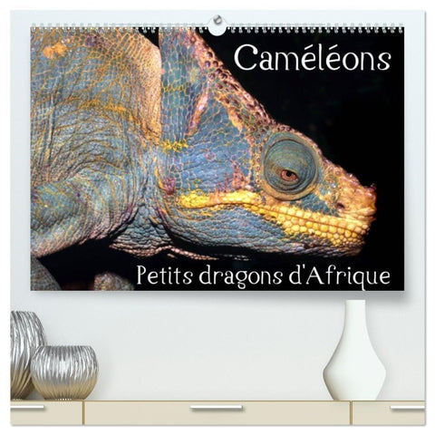 Caméléons - Petits dragons d'Afrique.  (Calendrier mural 2026 DIN A2 vertical) calendrier de bureau