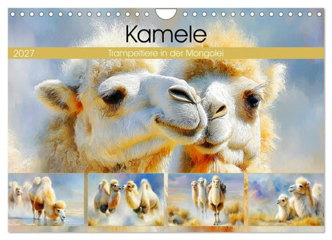 Kamele. Trampeltiere in der Mongolei (Wandkalender 2027 DIN A4 quer), CALVENDO Monatskalender