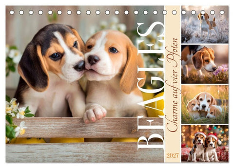 Beagles - Charme auf vier Pfoten (Tischkalender 2027 DIN A5 quer), CALVENDO Monatskalender
