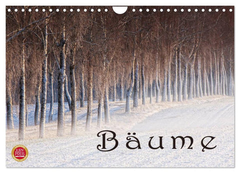 Bäume (Wandkalender 2026 DIN A4 quer), CALVENDO Monatskalender