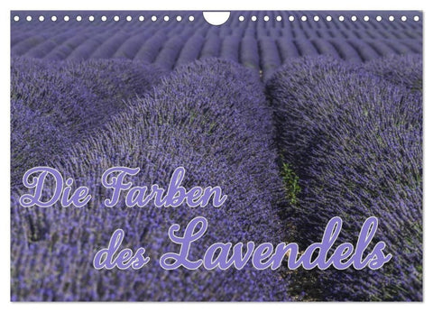 Die Farbe des Lavendels (Wandkalender 2027 DIN A4 quer), CALVENDO Monatskalender