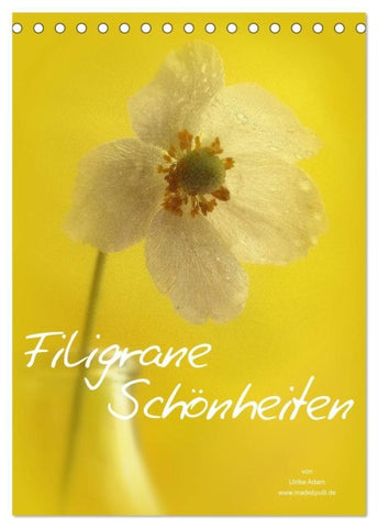 Filigrane Schönheiten 2027 (Tischkalender 2027 DIN A5 hoch), CALVENDO Monatskalender