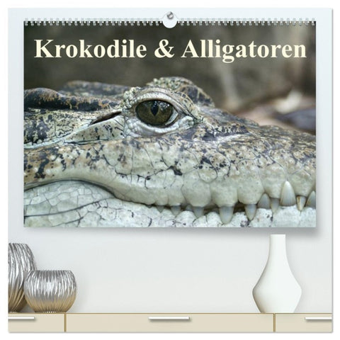 Krokodile & Alligatoren (hochwertiger Premium Wandkalender 2026 DIN A2 quer), Kunstdruck in Hochglanz