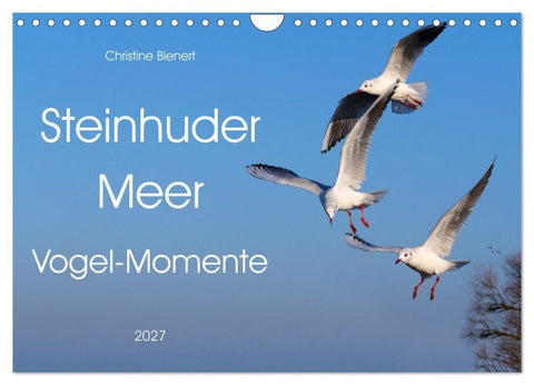 Steinhuder Meer, Vogel-Momente (Wandkalender 2027 DIN A4 quer), CALVENDO Monatskalender