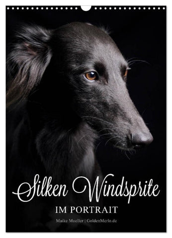Silken Windsprite im Portrait (Wandkalender 2027 DIN A3 hoch), CALVENDO Monatskalender