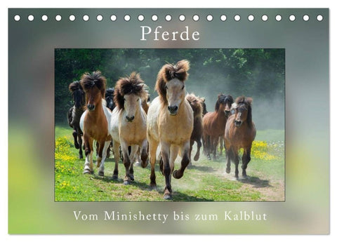 Pferde Vom Minishetty bis zum Kaltblut (Tischkalender 2027 DIN A5 quer), CALVENDO Monatskalender